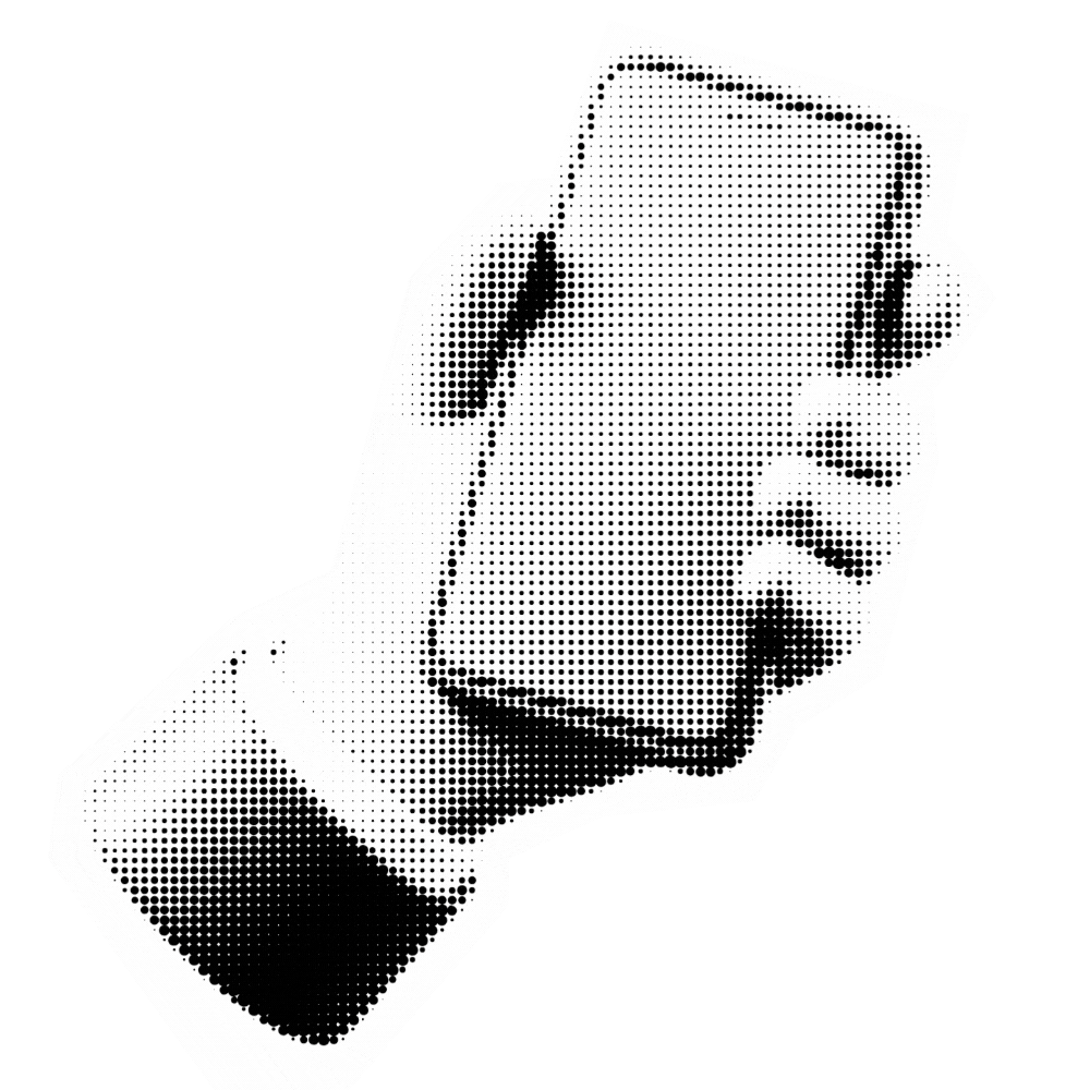 Gif animé d'un smartphone sur lequel apparaissent la pêche et le logo Melba Communication